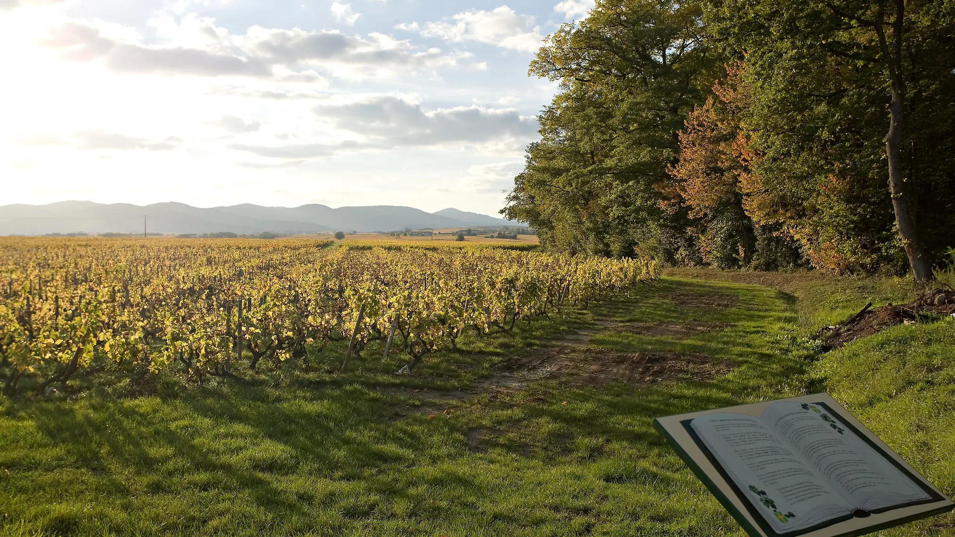 Chateau De Pizay Belleville-en-Beaujolais 4*,  France